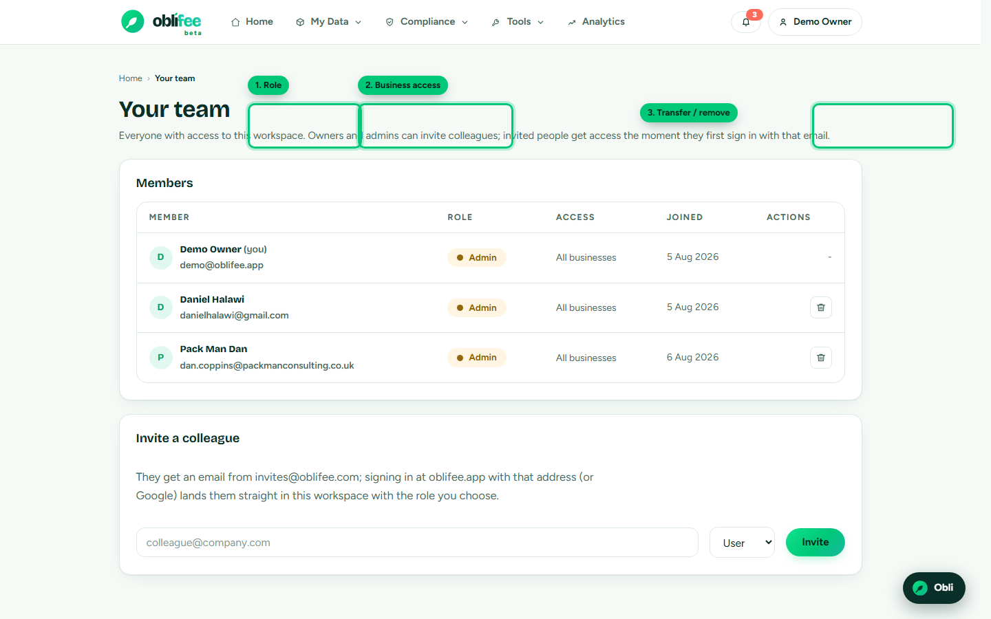 The Team page members table showing roles, access and per-member actions